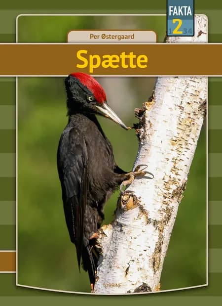 Spætte af Per Østergaard