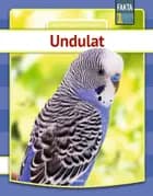 Undulat