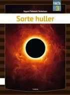 Sorte huller af Sigurd Toftdahl Terkelsen