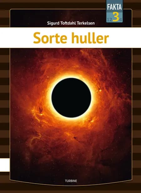 Sorte huller af Sigurd Toftdahl Terkelsen