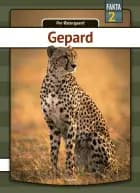 Gepard af Per Østergaard