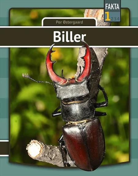 Biller af Per Østergaard