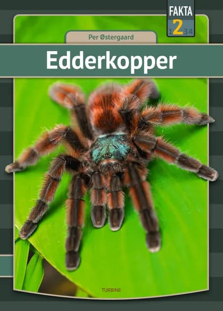 Edderkopper af Per Østergaard