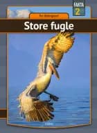 Store fugle