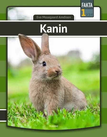Kanin af Eva Mosegaard Amdisen