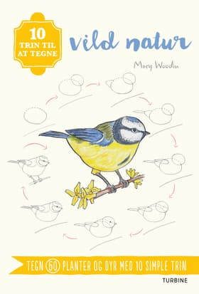 10 trin til at tegne vild natur af Mary Woodin