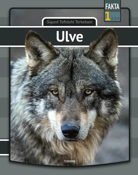 Ulve af Sigurd Toftdahl Terkelsen