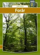 Forår af Lotte Arberg