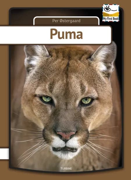 Puma af Per Østergaard