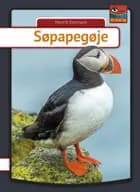 Søpapegøje af Henrik Enemark