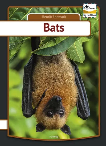 Bats af Henrik Enemark