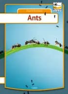 Ants