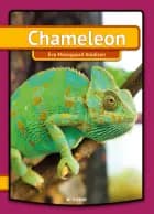 Chameleon