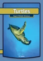 Turtles