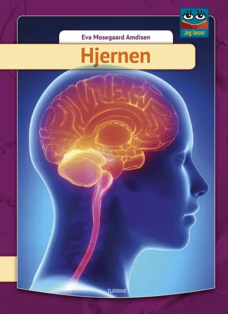 Hjernen af Eva Mosegaard Amdisen