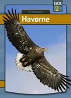 Havørne af Per Østergaard