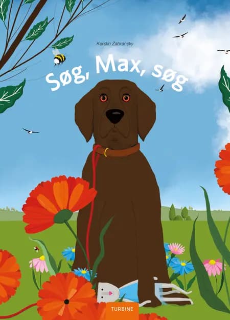 Søg, Max, søg af Kerstin Zabransky