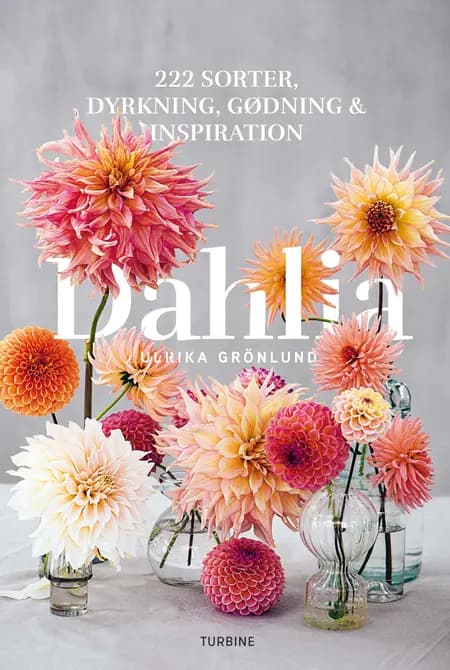 Dahlia af Ulrika Grönlund