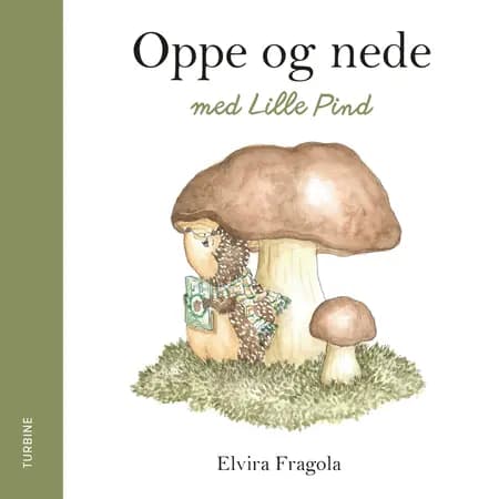 Oppe og nede med Lille Pind af Elvira Fragola