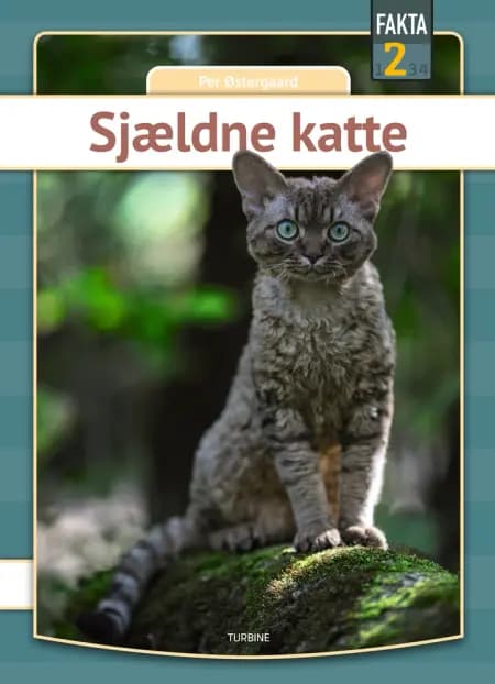 Sjældne katte af Per Østergaard