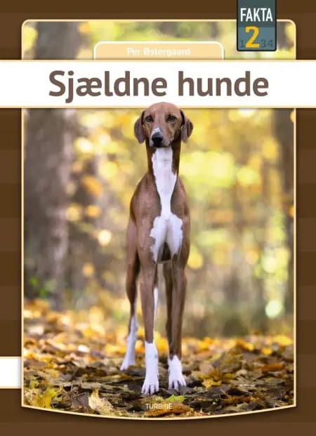 Sjældne hunde af Per Østergaard