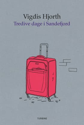 Tredive dage i Sandefjord af Vigdis Hjorth
