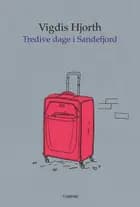 Tredive dage i Sandefjord af Vigdis Hjorth