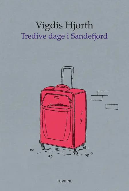 Tredive dage i Sandefjord af Vigdis Hjorth