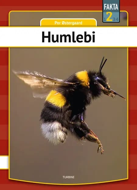 Humlebi af Per Østergaard