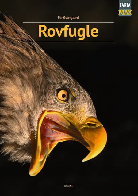 Rovfugle af Per Østergaard