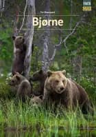 Bjørne af Per Østergaard