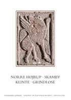 Danmarks Kirker. Odense Amt. Kirkerne i Nørre Højrup, Skamby, Klinte, Grindløse af David Burmeister og Martin Wangsgaard Jürgensen