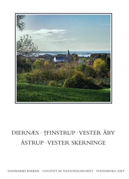 Danmarks kirker. Svendborg Amt. Kirkerne i Diernæs, †Finstrup, Vester Åby, Åstrup, Vester Skerninge af Anders C. Christensen