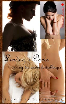Lørdag i Paris af Sylvia de Guyancourt
