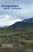 Kungsleden, Ábesko - Kebnekaise