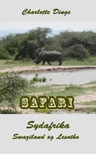 Safari