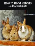 How to Bond Rabbits - a Practical Guide