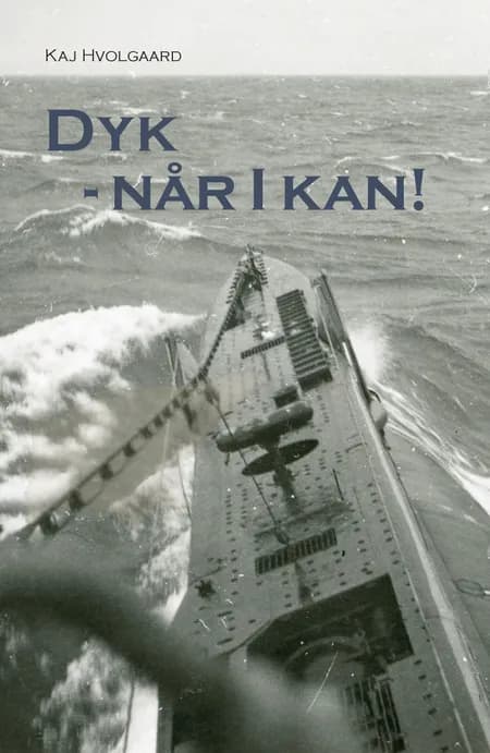 Dyk - Når I kan! af Kaj Hvolgaard