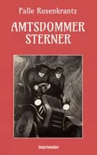 Amtsdommer Sterner