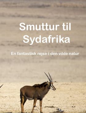 Smuttur til Sydafrika - En fantastisk rejse i den vilde natur. af Steve Jørgensen
