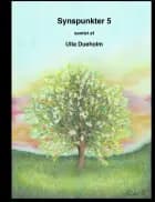 Synspunkter 5 af Ulla Dueholm