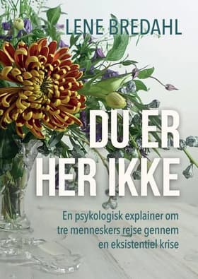 Du er her ikke af Lene Bredahl