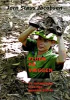 Fluen på væggen