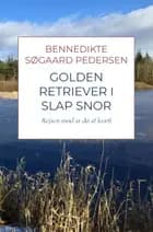 Golden Retriever i slap snor