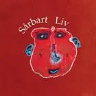 Sårbart Liv