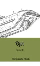 Øjet