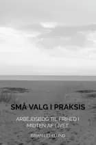 Små Valg i Praksis