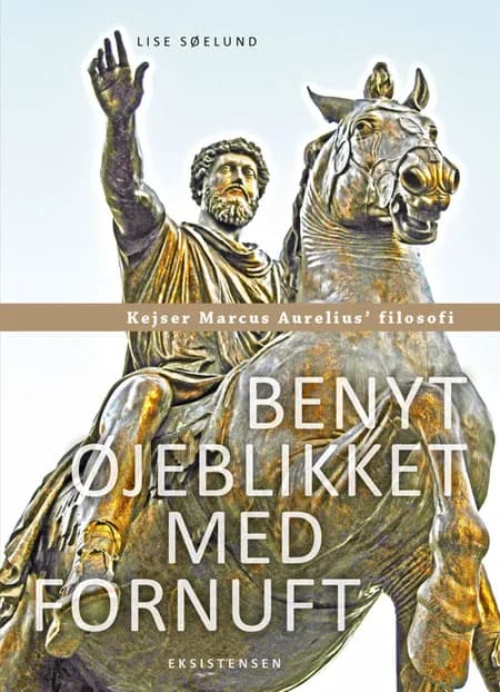 Benyt øjeblikket med fornuft af Lise Søelund