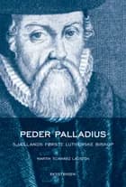 Peder Palladius af Martin Schwarz Lausten