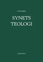 Synets teologi